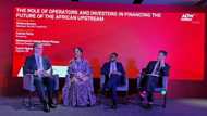 Ogbue: How Africa can target symbiotic investors with an upstream-focused business model