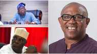 Tinubu sends strong, powerful message to Atiku, Obi ahead of 2023 election