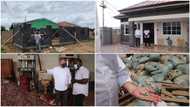 Man builds house with 13,000 kilos of plastic waste, beautiful photo of structure stuns social media