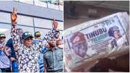 E go chop and e no go vote: Reactions as bread with bola Tinibu's photo, APC logo is sighted online