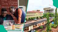When knowledge no longer pays: The silent crisis in Nigeria’s universities