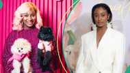 DJ Cuppy shows off the accessories she bought for her dogs: “Every mallam with hin own kettle”