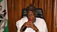 Lai Mohammed says Nigeria is winning the war against insurgency, gives reason