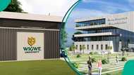 Wigwe University releases 2026/2027 school fees, scholarship breakdown for UTME candidates