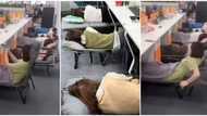 "No need to go home": Video of company allowing workers to take naps on the job emerges, sparks reactions