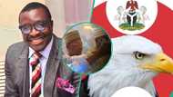 Ali Baba dares EFCC to take action over naira abuse at wedding: “Aso Rock dey cover them?"