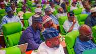 Just in: House of Reps votes against bill seeking 6-year single term for president, governors