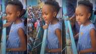 "I no believe say na Nigerian school": Little girl's speech during assembly makes many wonder