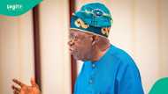 Tinubu ya yunkuro da karfi kan tsaro, zai murkushe 'yan ta'addan Najeriya