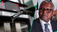 Petrol marketers vow to fight Dangote Refinery's lawsuit on new import license