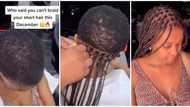 "Must be very painful": Mixed reactions as lady with very short hair gets braided hairstyle