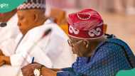 JUST IN: Tinubu approves upgrade of YABATECH to university, details emerge
