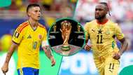 Colombia vs Ghana: Mysterious cat predicts 2026 FIFA World Cup Round of 32 match