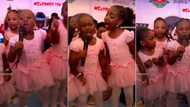 "This pikin too do": Little girl grabs microphone during school party, steals show with epic performance