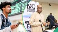 Nigeria ranked 7th on global mobile phone usage amid high data costs