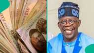 Breakdown of level 10 and 15 salary scale for Nigerian civil service after new minimum wage