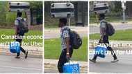 "He wants to save money": Man in Canada carries box on his head, holds his bag and crosses road like Lagosian