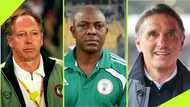 List of all Super Eagles coaches since 1949 as NFF appoints Bruno Labbadia