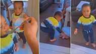 "They too like food": Mum feeds hot tea to twin boys who won't let her eat alone, funny video stirs reactions