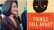 Irish woman Irene Duffy Lynch to translate Chinua Achebe's Things Fall Apart to her language