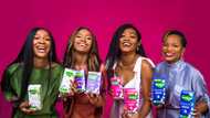Molped Launches Pantyliners for Everyday Protection