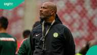 “$100k per month?” Nigerians react to NFF’s new contract offer for Eric Chelle