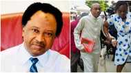 Godwin Emefiele: Shehu Sani reveals what Tinubu's govt should do to suspended CBN governor