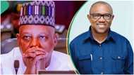 Sukar Gwamnatin Tinubu Ta Jawo Kashim Shettima Ya Yi wa Peter Obi Tsirara a Siyasa