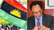 "How and why we started sit-at-home protest": Northern Senator Reveals