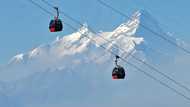 Nepal community fights to save sacred forests from cable cars