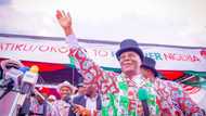 “I’m Not Being Sponsored”: Whistleblower Insists, Says Voting Atiku Will Be a Great Mistake