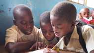Exercise Books, Textbooks, other Print materials to Become more Costly as Cost of Paper Imports hit N1.23trn