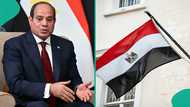 Egypt imposes cash limit for foreigners, announces maximum amount travellers must carry