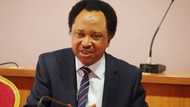 Shehu Sani: Yajin aikin likitoci ba fa na direbobin tanka bane, a dai duba