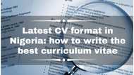 Latest CV format in Nigeria: how to write the best curriculum vitae