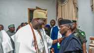 Osinbajo gets accolades in Ife as OAU marks 60 years anniversary