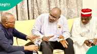 Things to know about NDC as Peter Obi, Kwankwaso defect to opposition party