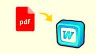 Amazing ways to insert PDF into Word