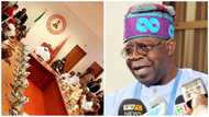 Photo, video emerge as Tinubu meets with APC Senate Caucus, makes huge demand ahead of 2023