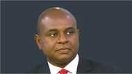 2023: I will run for president in 2023, ex-deputy CBN governor Moghalu declares, reveals why