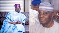 2023: Big blow as Arewa group dumps Atiku, endorses Tinubu