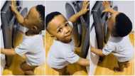 2-year-old kid makes beats, sweet music by hitting home washing machine, his video goes viral