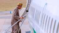 Buhari in London: Go back to Nigeria and build hospitals, organizer says