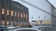 Tesla's Musk says fallout from Sweden strike 'insane'