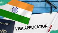 India releases list of 12 key requirements Nigerians must meet for medical visa in 2026