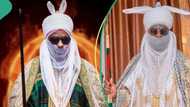 Kungiyar Arewa ta roki sarkin Kano 15 Aminu Ado Bayero ya rungumi kaddara