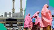 NAHCON za ta maido wa wasu alhazai da kudinsu makonni da kammala aikin Hajji