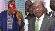 Bola Tinubu Da Emefiele: Abubuwa 4 Da Ya Kamata Ku Sani Game Da Dakatar Da Gwamnan CBN