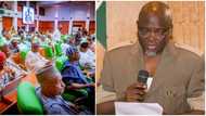 Alleged UTME fraud: House of Reps orders JAMB to suspend all actions against Mmesoma Ejikeme