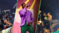 Drama as Wizkid falls on stage after fan pulled his trouser, clip goes viral